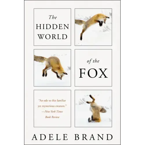 The Hidden World of the Fox