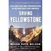 Saving Yellowstone: Exploration and Preservation in Reconstruction America