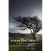 Hawthorn: The Tree That Has Nourished, Healed, and Inspired Through the Ages