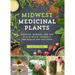 Midwest Medicinal Plants: Identify, Harvest, and Use 109 Wild Herbs for Health and Wellness