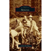 Senoia