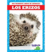 Los Erizos (Hedgehogs)
