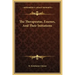 The Therapeutae, Essenes, and Their Initiations