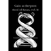 Cain as Serpent Seed of Satan, vol. II: Considering Zen Garcia's Claims