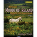 Magical Irish Countryside: Mystical Moods of Ireland, Vol. III