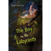 The Boy in the Labyrinth: Poems