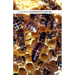 The Introduction of Queen Bees