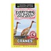 Everything You Should Know About: Cranes