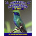 Fantastic Picture Book of Birds. 40 Color Photos of Birds: Bird Names Picture Book Gift for Adults with Alzheimer's or Dementia.
