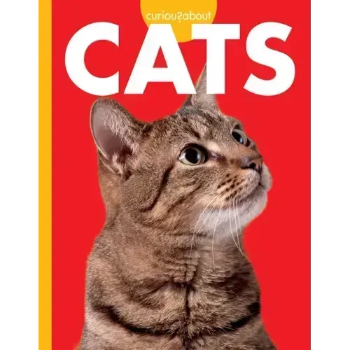 Curious about Cats