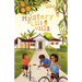 A Mystery at Lili Villa