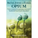 British, Jewish, and Yankee Opium: A History of Opium from its Beginnings in Switzerland to How a Government, a Family, and a Few Americans Debauched