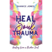 Heal Soul Trauma: Healing from a Broken Soul