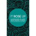 It Rose Up: A Selection of Lost Irish Fantasy Stories