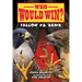 Falcon vs. Hawk