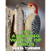 The Amazing World of Birds: Do Your Kids Know This?: A Children's Picture Book