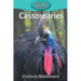 Cassowaries