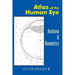 Atlas of the Human Eye: Anatomy & Biometrics