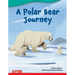 A Polar Bear Journey