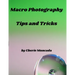 Macro Photography Tips and Tricks