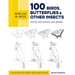 Draw Like an Artist: 100 Birds, Butterflies, and Other Insects: Step-By-Step Realistic Line Drawing - A Sourcebook for Aspiring Artists and Designers