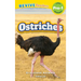 Ostriches: Grassland Animals (Revive Readers, Level Pre-1)
