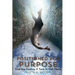 Positioned for Purpose: And The Destiny It Took To Get There