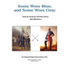 Some Wore Blue, and Some Wore Gray: Rules For American Civil War Games With Miniatures