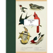Vintage Prints: Birds: Vol. 7