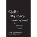 Sub: My Years Underground in America's Schools