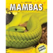 Mambas