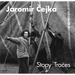 Jaromír Cejka: Traces