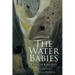 The Water Babies: Illustrated