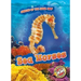 Sea Horses