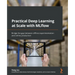 Practical Deep Learning at Scale with MLflow: Bridge the gap between offline experimentation and online production
