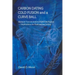 Carbon Dating, Cold Fusion, and a Curve Ball