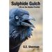 Sulphide Gulch: Life on the Alaska Frontier