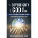 The SOVEREIGNTY of GOD At WORK: The God of Personal and National Destinies How God Chose Biden Over Trump in the 2020 U.S. Elections
