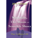 Waterfalls, The Moon and Sensible Shoes: One Lesbian Life