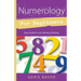 Numerology for Beginners: Easy Guide To: * Love * Money * Destiny