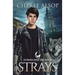 Werewolf Academy Book 1: Strays: Strays