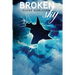 Broken Sky