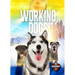 Working Dogs