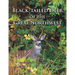 Black-Tailed Deer of the Great Northwest