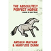 The Absolutely Perfect Horse: A Novel of East Texas