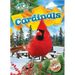 Cardinals
