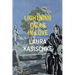 Lightning Falls in Love