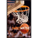 Sweetwater: A Biography of Nathaniel "Sweetwater" Clifton