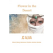 Flower in the desert