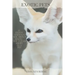 Exotic Pets: 21 Exotic Animals You Didn't Know You Could Adopt as a Pet: (A variety of rare and cute species of reptiles, mammals,